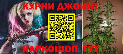 дмт Новозыбков