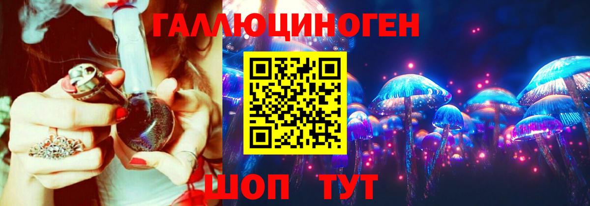 Строитель  Псилоцибиновые грибы прущие грибы  Псилоцибиновые грибы Psilocybine cubensis  Вход с VPN 